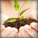 Menozac is Help from Mother Nature 